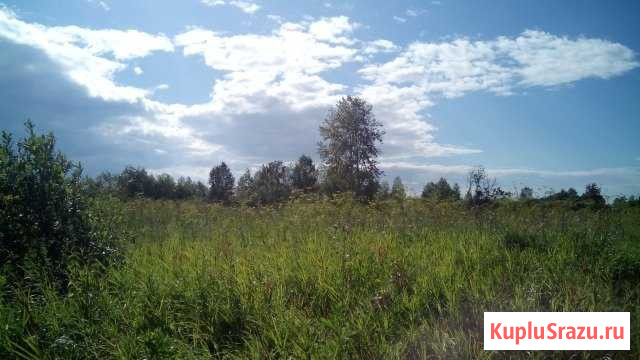  Белоярский - изображение 1