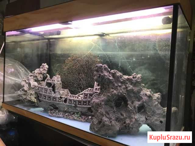 В хорошие руки аквариум на 200 литров Красногорск - изображение 1