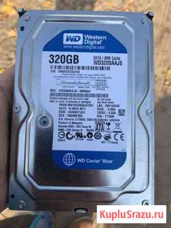 Hdd western digital 320gb Воронеж