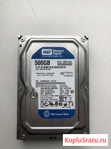 Жёсткий диск WD5000aakx 500GB, 3,5 Пенза - изображение 1