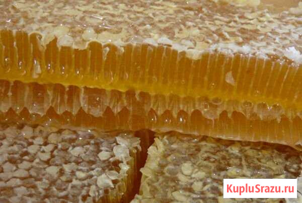 Мед в сотах Лебяжье - изображение 1