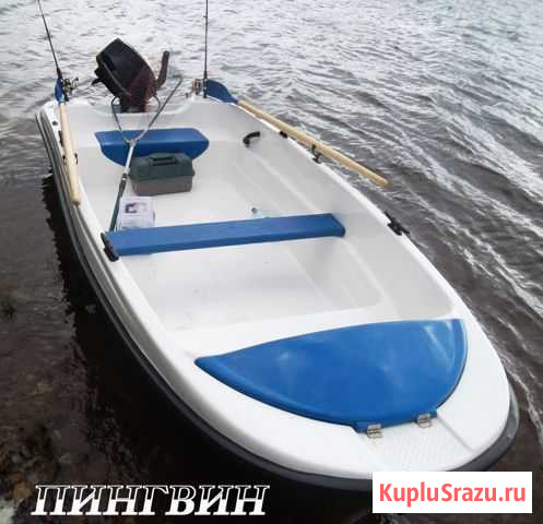 Моторная лодка с тримаранными обводами Пингвин Вологда - изображение 1
