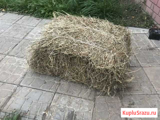 Сено Бор - изображение 1