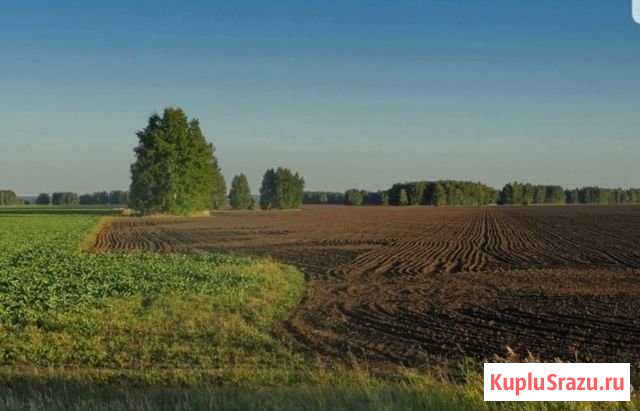  Ирбит - изображение 1