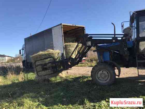 Сено луговое, разнотравье Великий Новгород