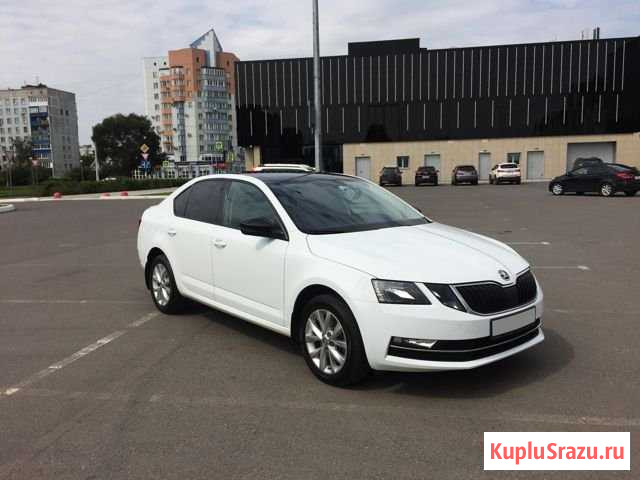 Аренда авто с водителем Skoda Octavia Новокузнецк - изображение 1