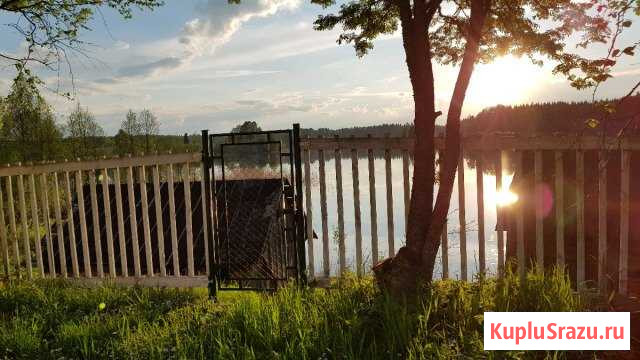 Дом 35 кв.м. на участке 4 сот. Любытино - изображение 1