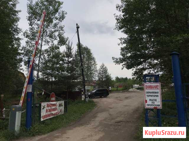  Буревестник - изображение 1