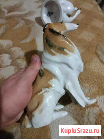 Колли Орёл - изображение 1