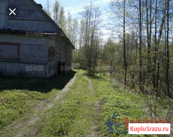  Ладожское Озеро - изображение 1