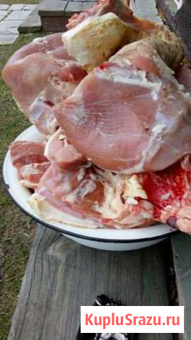 Мясо индейки Память Парижской Коммуны - изображение 1