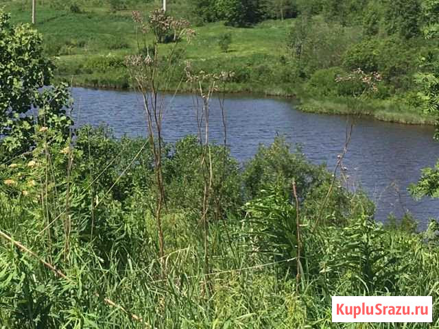  Новое Девяткино - изображение 1