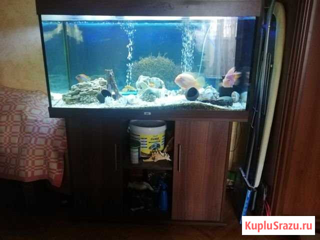 Аквариум Балашиха - изображение 1