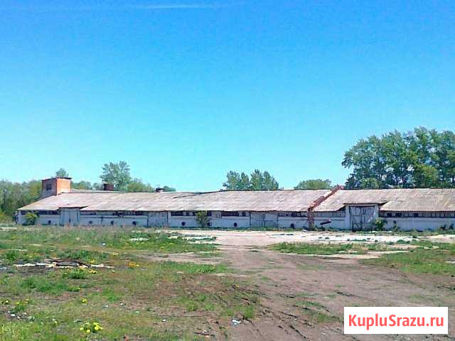 Зернохранилище 1493 м2 на трассе М 4 Дон Грицовский - изображение 1