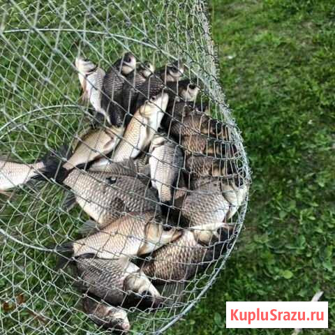 Садки рыболовные Волжский - изображение 1