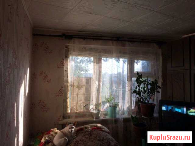 1-к квартира, 32 кв.м., 1/2 эт. Большая Глушица - изображение 1