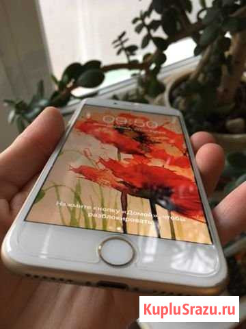 Apple 7 Gold 32 gb Бологое - изображение 1