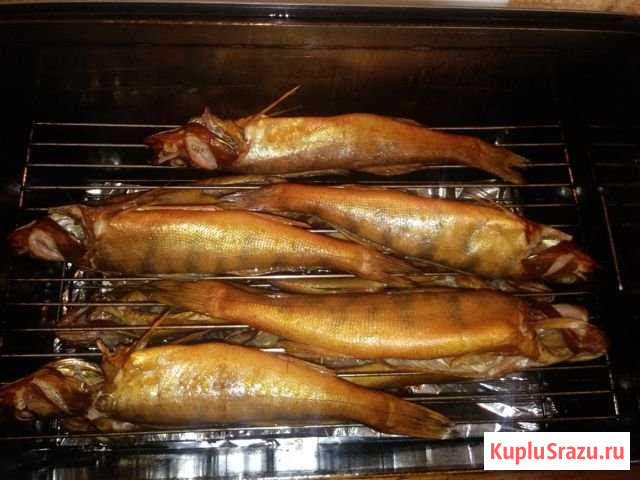 Домашнее копчение рыбы и мясных продуктов Энгельс - изображение 1