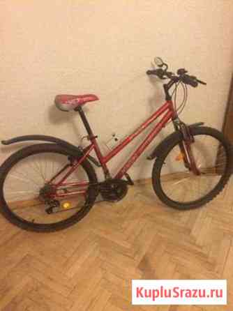 Велосипед Пушкино