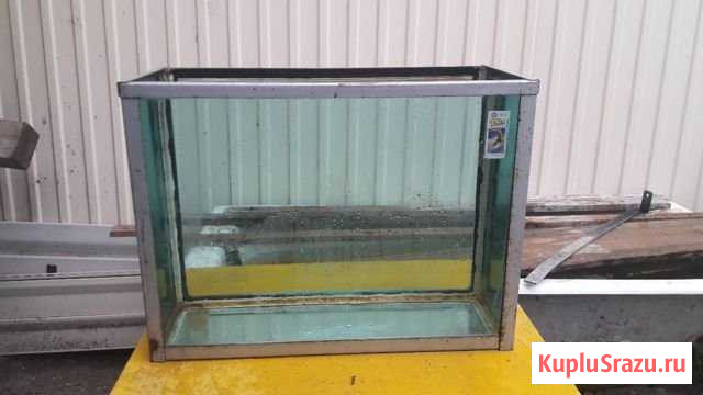 Аквариум Набережные Челны - изображение 1