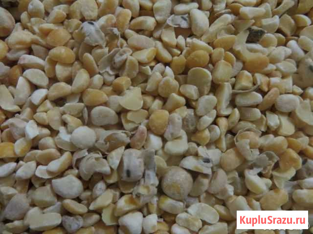 Зерновой фураж Троицк - изображение 1