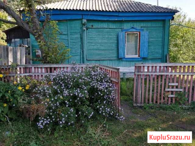 Дом 49.2 кв.м. на участке 36 сот. Поворино - изображение 1
