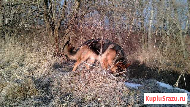 Вязка Невинномысск - изображение 1