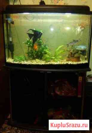 Аквариум с тумбой Набережные Челны