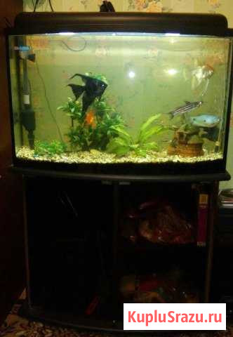 Аквариум с тумбой Набережные Челны - изображение 1