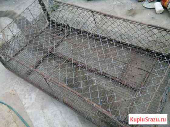 Клетка Будённовск