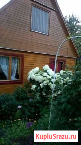  Протвино - изображение 1