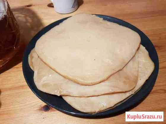 Чайный гриб Москва