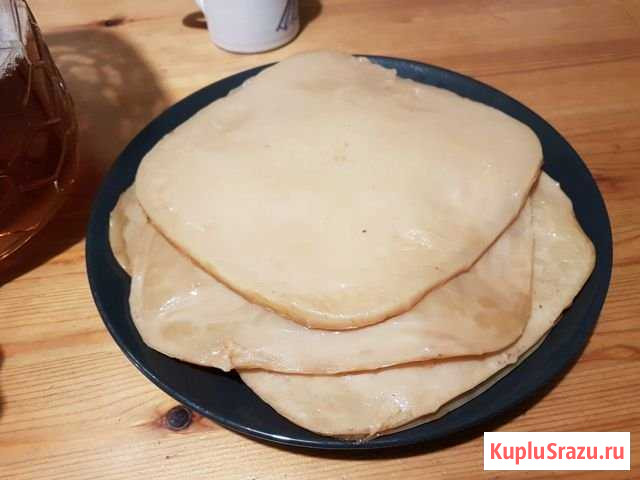 Чайный гриб Москва - изображение 1