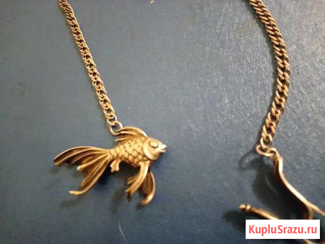 Серебряный ионизатор в кувшин или стакан Рыбка Дмитров - изображение 1