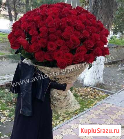 101 красная 80 см Chek Mate Санкт-Петербург - изображение 1