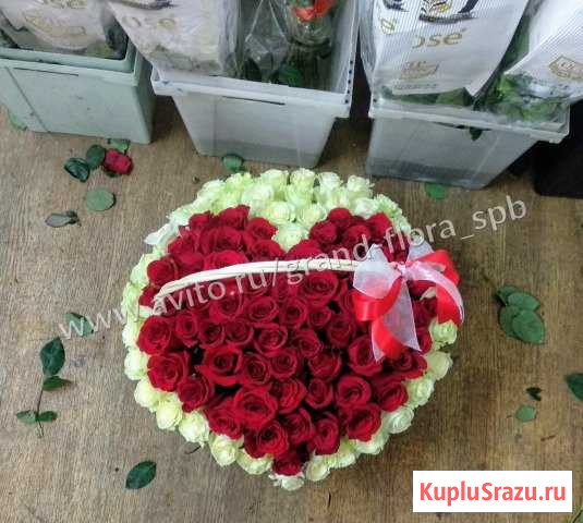 101 роза в форме сердца в корзине Санкт-Петербург - изображение 1