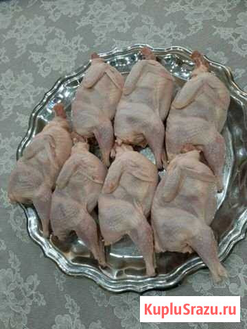 Мясо домашних перепелов и не только Березовый - изображение 1