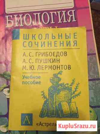 Сочинения литература Нижний Тагил