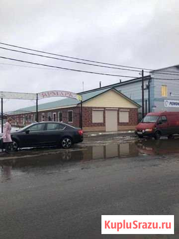 Сдам в аренду торговое помещение Лодейное Поле - изображение 1