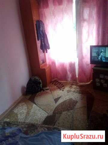  Кингисепп - изображение 1