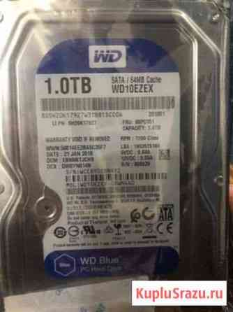 Жесткий диск WD Caviar Blue WD10ezex Брянск