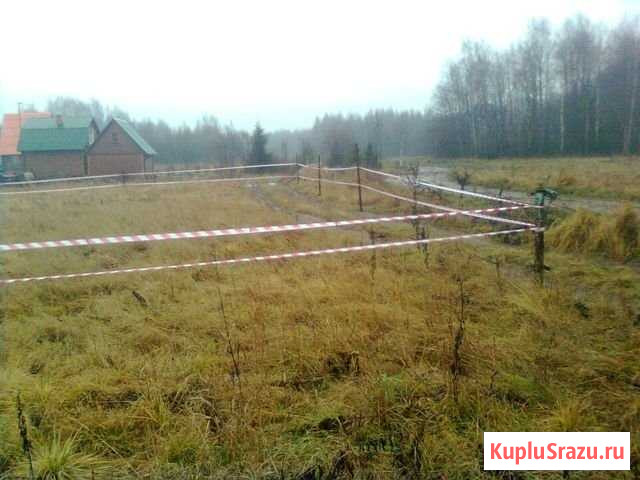  Струнино - изображение 1