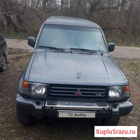 Mitsubishi Pajero 3.5 МТ, 1995, 230 000 км Стародуб - изображение 1