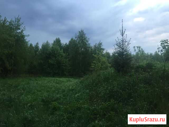  Головино - изображение 1