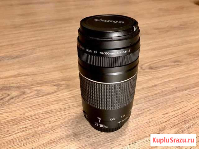 Объектив Canon EF 75-300mm f/4-5.6 III Владимир - изображение 1