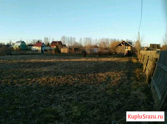  Молочное - изображение 1