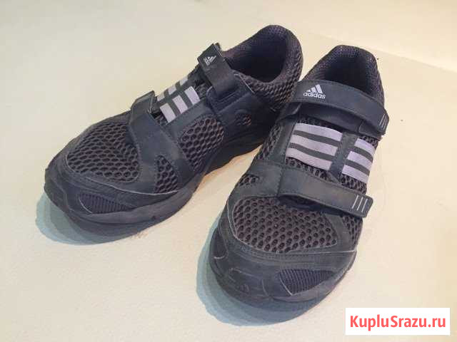 Кроссовки Adidas Васильково - изображение 1