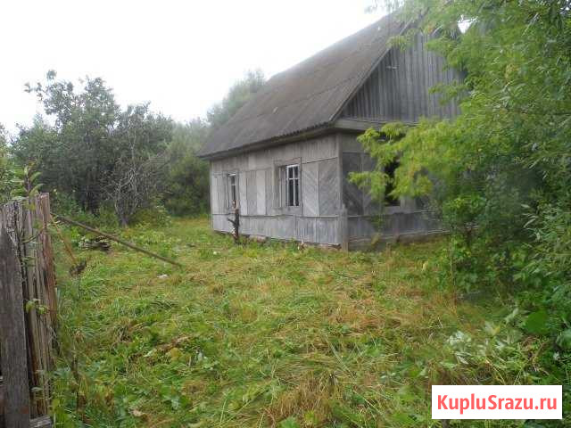  Думиничи - изображение 1