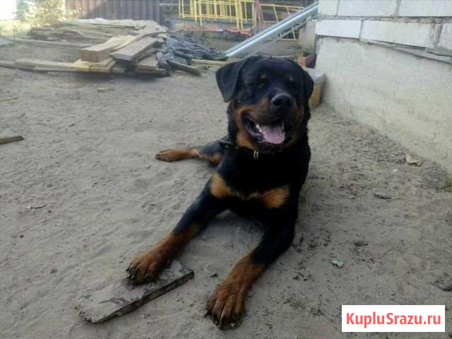 Вязка Колодезный - изображение 1