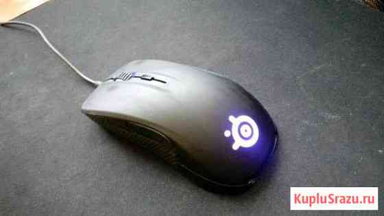 Steelseries rival 300 Калининград
